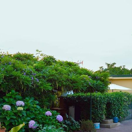 A Tintureira Villa São Martinho de Antas Eksteriør billede