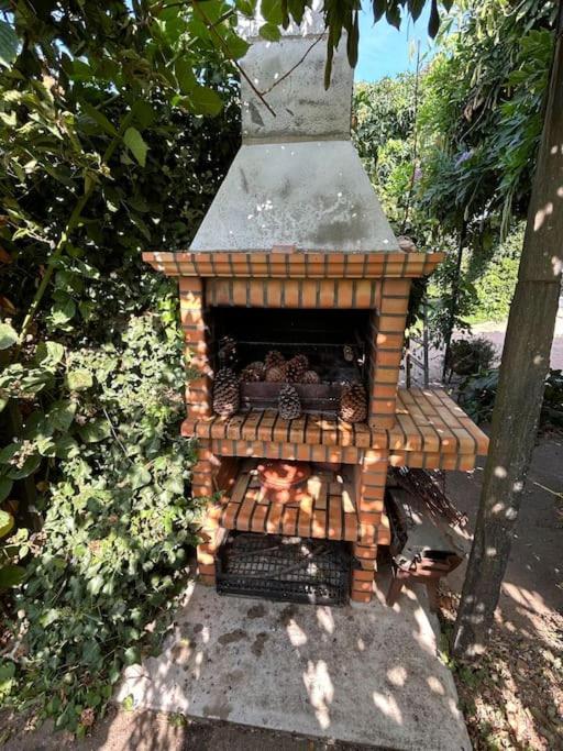A Tintureira Villa São Martinho de Antas Eksteriør billede