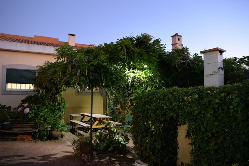 A Tintureira Villa São Martinho de Antas Eksteriør billede