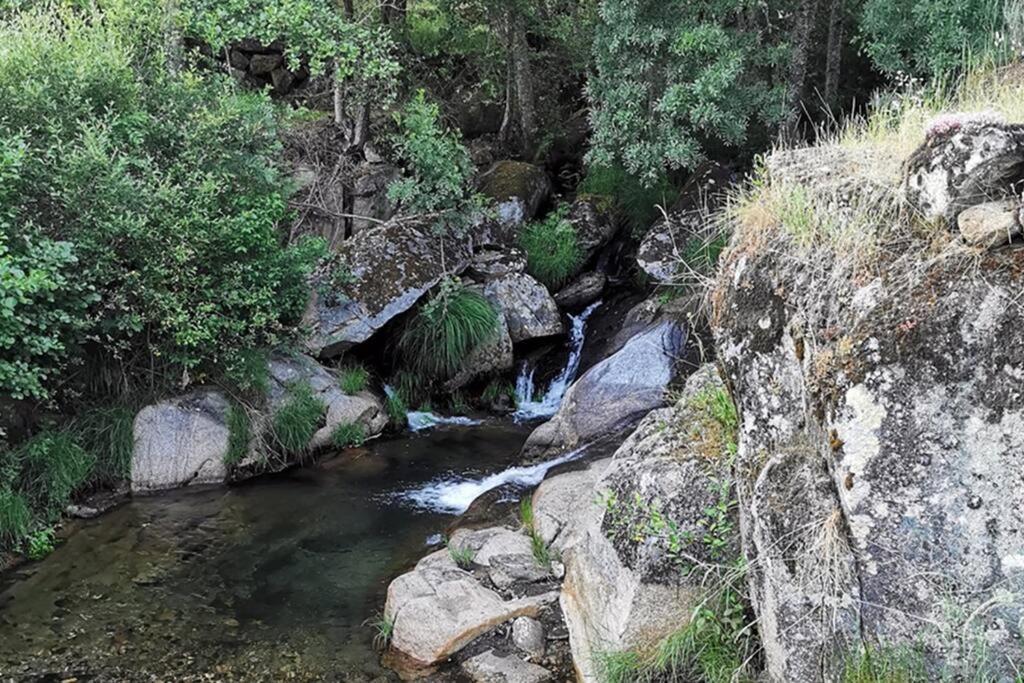 A Tintureira Villa São Martinho de Antas Eksteriør billede